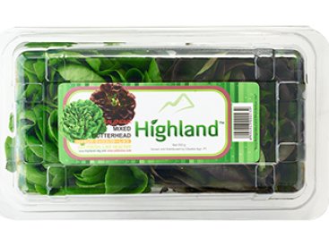Highland Salanova Butterhead